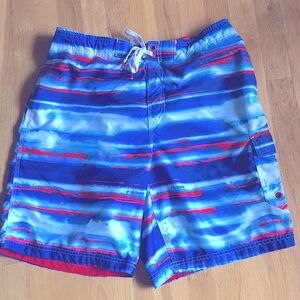 Men’s Speedo Swim Trunks Size L Large